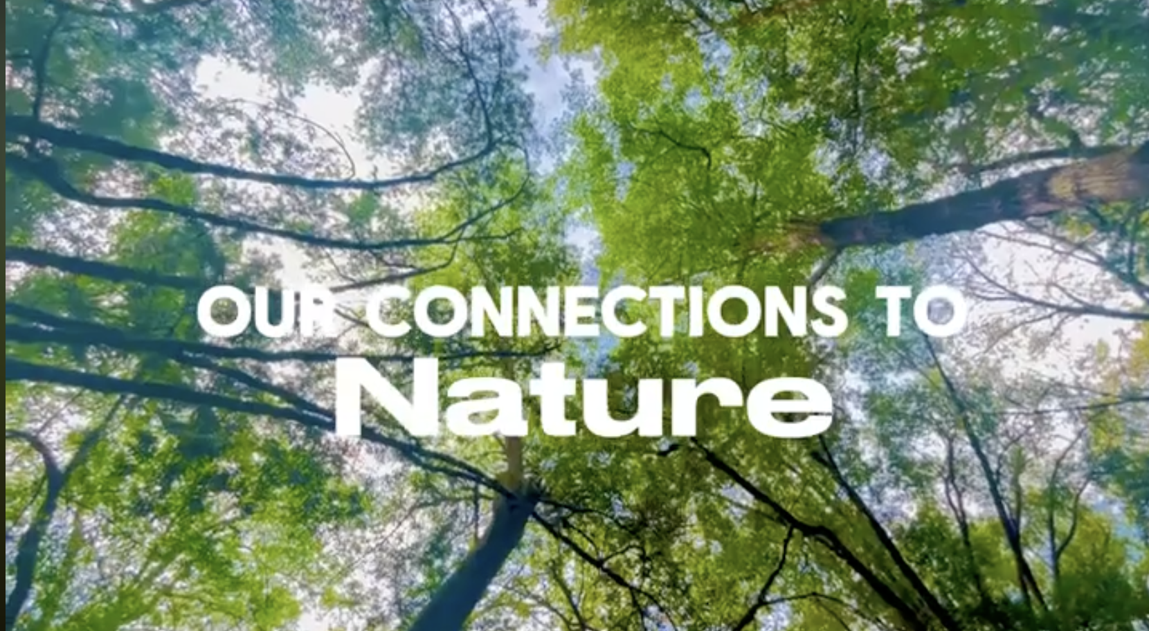 Our Connections to Nature